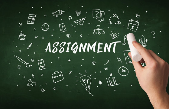 Assignment Writing Service